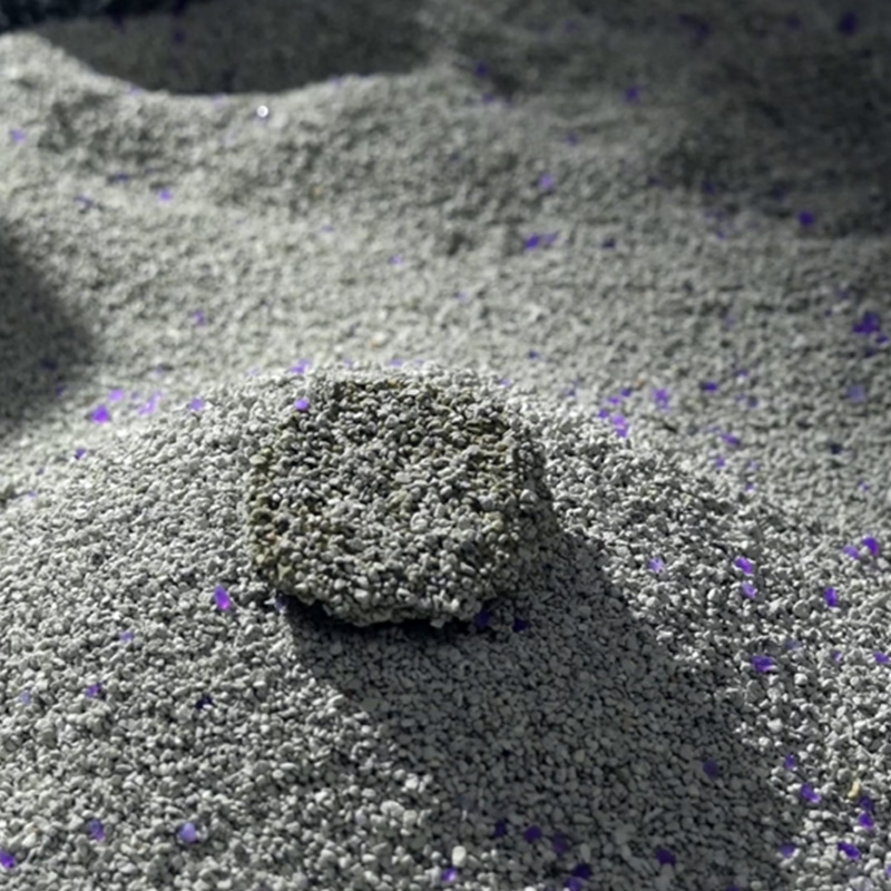 Att välja den bästa mineralkattsand: Praktiska tips för ett renare hem